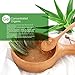 Vassoul 100% Nature Organic Aloe Vera Gel, Concentrated Pure Aloe Gel For Facial Moisturizer, Acne Treatment, Acne Scars (8 oz)