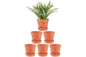 Yishang 5.5 Inch Clay Orchid Pots with Drainage Holes & Saucers - 6 Pack Small Terracotta Planter Pots for Repotting, Plant Flower Pots for Orchid Indoor & Outdoor, Promotes Air Circulation