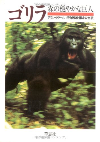 人気沸騰ブラドン 森のごりらくん アクリル絵具 油絵具 Kuddinjee Go Th