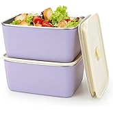 fecoqi 2 PCS Stainless Steel Food Storage Containers with Lids (20oz), Snack Containers for Kids, Freezer Safe, Leak Proof & Airtight,Metal Containers for Meal Prep,Candy,Fruit,Snack