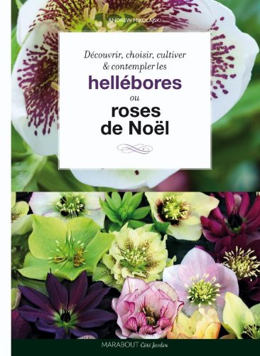 Hellébores
