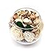 Qingbei Rina Potpourri in Glass Bowl Aroma of Vanilla Lavender Apple and Jasmine (White)