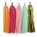 Ling's moment 20 PCS DIY Tissue Paper Tassel Banner, Unassembled Pompom Garland for Wedding, Bachelorette, Baby Shower, Birthday, Fiesta Fringe Party Banner, Home Decorations(Gold,Mint,Pink,Orange)