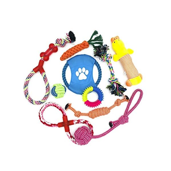 WeFine-Puppy-Dog-Chew-Toys-Teething-Training10pcs-Dog-Rope-Toys-100-Natural-Cotton-Rope-for-Small-and-Medium-Dog WeFine Puppy Dog Chew Toys Teething Training, 10pcs Dog Rope Toys 100% Natural Cotton Rope for Small and Medium Dog