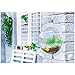 RuiyiF Fish Tank Wall Mounted, Wall Hanging Acrylic Fish Bowl Small Aquarium for Beta Fish Goldfish Home Decor Size 6 Inchthumb 1