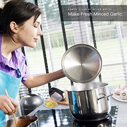 image for Gotega Manual Garlic Press Stainless Steel Garlic Rocker Crusher Squee