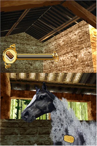 Amazon Com Horse Life Nintendo Ds Artist Not Provided Video Games
