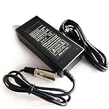 24V 2A XLR Electric Scooter Battery Charger for Go-Go Elite Traveller Plus HD US, Go-Go Ultra X SC40X/SC44X