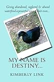 My Name is Destiny... by 