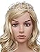 BABEYOND Crystal Birthday Tiara Crown Princess Birthday Crown Hair Accessories Happy 20th Birthday Crown Tiara for Women (20 Birth)