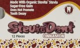 Stevita SteviaDent Sugar Free Natural Cinnamon Gum, 12 Count