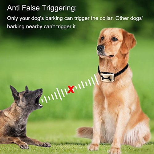 Mothca Rechargeable Dog Barking Control Trainin Reviews & Prices