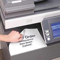 Avery Self-Adhesive Removable Laser Id
