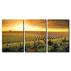 3 Piece Canvas Wall Art - a Beautiful Sunset Over a Barossa Vineyard - Modern Home Art Stretched and Framed Ready to Hang - 16"x24"x3 Panels