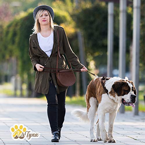 ADITYNA - Heavy Duty Leather Dog Leash 6 Foot - Strong and Soft Leather Leash for Extra Large, Large and Medium Dogs - Dog Training Leash (XL - 6 ft x 1 inch, Brown)
