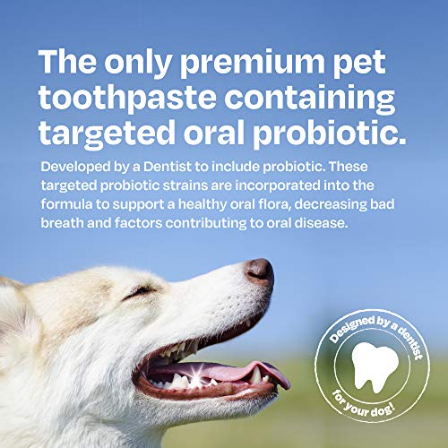 Natural Dog Toothpaste Enzymatic with Probiotics Toothpaste for Dogs
