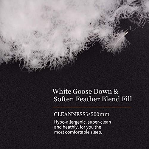 HOMBYS 120x98 Oversized King Goose Down Comforter,100 Cotton Down