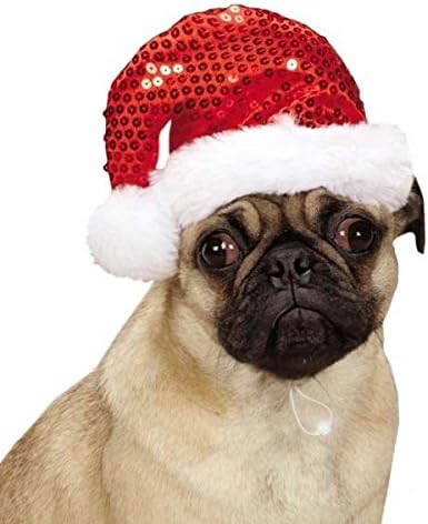 amazon dog christmas