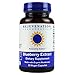 Rejuvenation Therapeutics - Organic Blueberry Extract, Powerful Antioxidant (60 Vegan Capsules, 350mg)