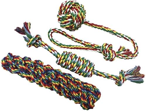 Miniwild Flossy Chews Pet Rope Toys for Small to Medium Dogs for Interactive Play, Set of 3