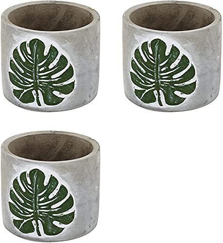Napco 21981 Leaf Emblem Planter/Cache Pot, Concrete (3)