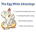 Egg White Protein Powder | All Natural Ingredients - 25g Protein, No Fat or Cholesterol, 1g Sugar - 2 Pound (Vanilla Cream) - Dairy Free Protein