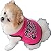 haoricu Puppy Clothes, Summer Cute Small Dog Cat Pet Clothing Dog Hoodie Vest (Hot Pink, Medium)