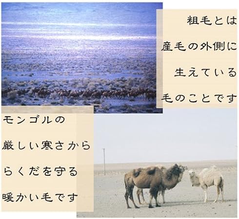 Amazon 最高級キャメルの粗毛100 キャメル敷布団 ダブル キャメル 敷きふとん 通販