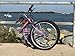 COLUMBA 26 inch 18 Speed Folding Bike (Purple)