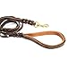 FOCUSPET Heavy Duty Leather Dog Leash with 2 Handles,Padded Traffic Handle for Extra Control,6Ft Dog Training Walking Leashes for Medium Large Dogs