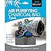 Brilliant Evolution Bamboo Charcoal Air Purifying Bag 50g 4 Pack | Shoe Deodorizer | Sneaker Deodorizer | Shoe Odor Eliminator | Odor Absorber | Gym Bag Deodorizer | Activated Charcoal