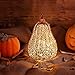JARVANIA Fall Thanksgiving Decorations - 'Happy Fall' & 'Give Thanks' Banners (73