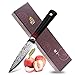 Tuo Cutlery Paring Knife 3.5 inch - Japanese AUS-10D Damascus Steel - Peeling Fruit Vegetable Knife with Ergonomic G10 Handle - RING-D Series