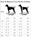 Idepet Spring Summer Pet Dog Cat Puppy Tutu Princess Dress Heart Printed Lace Dog Skirt Pet Apparel Dog Dress(XS)