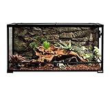REPTI ZOO Reptile Glass Terrarium Tank Double Hinge Door with Screen Ventilation Large Reptile Terrarium 36" x 18" x 18"(Knock-Down)