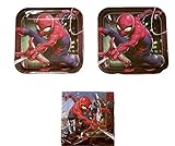 Spiderman 9" Plates (16) Napkins (16) Party Bundle