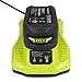 FLAGPOWER P117 Dual Chemistry IntelliPort Lithium Ion & Ni-cad Ni-Mh Battery Charger 12V-18V MAX for Ryobi ONE+ Plus