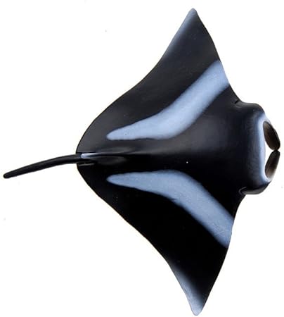 most expensive cat price