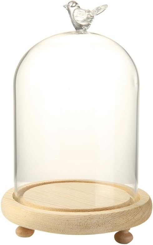 Wingbind Transparent Glass Display Dome Cloche, Eternal Flower Micro Landscape Glass Cover Home Decor Gifts-Bird