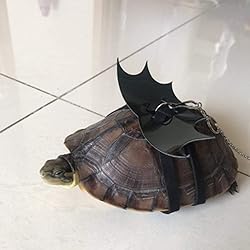 Turtle Harness and Leash with Wings Tortoise Leash