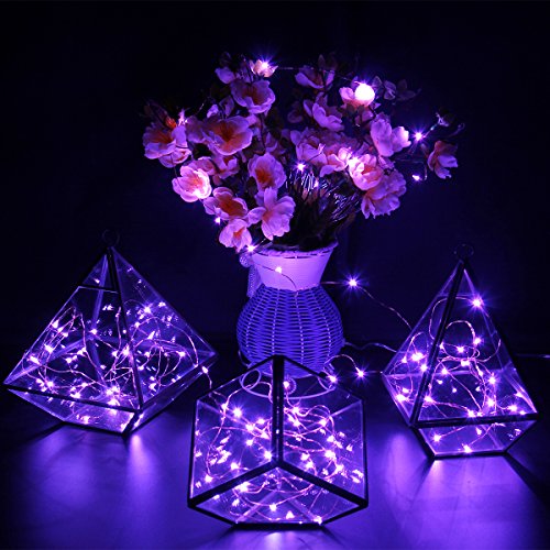 BINZET LED String Lights, 6.5ft 20 LEDs Waterproof Purple 3xAA Battery Powered Flexible Copper Wire Fairy Light for Bedroom, Garden, Patio, Party, Home, Seasonal Holiday Decoration