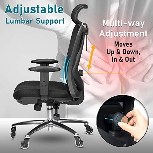 Duramont Ergonomic Office Chair Adjustable Desk Chair with Lumbar