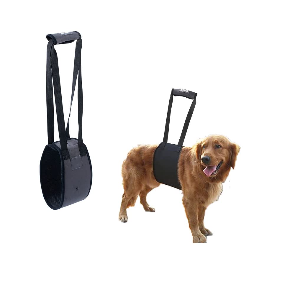 BDHI 1pc Dog Lift Harness Dog Support Sling Sling Waterproof Support Harness with Handle to Pets Front Rear Legs for Weak Legs Surgery Rehabilitation(Y124-1)