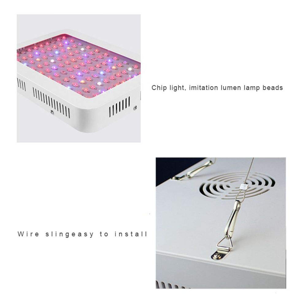 panepisthmio makedonias