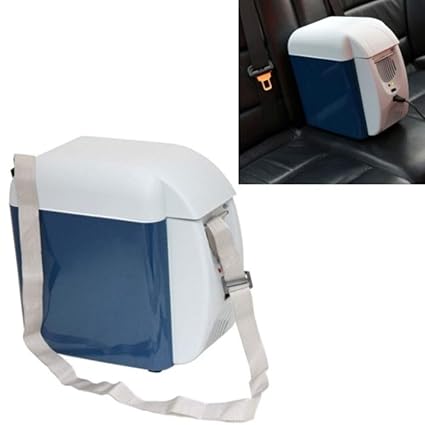 Amazon.es: Nevera portátil 2 Funciones Nevera Calentador cálido ...