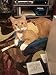 Mynwood Cat Jacket/Harness Caramel Adult Cat