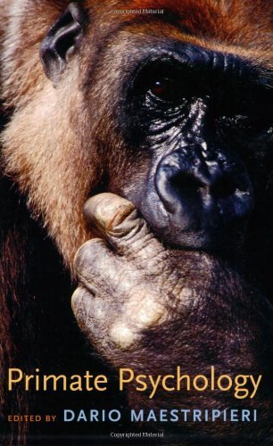 Primate Psychology