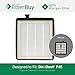 FilterBuy Dirt Devil F45 (F-45) Replacement HEPA Filter, Part # 2KQ0107000. Designed by FilterBuy to fit Dirt Devil Vision Pet Canister Vac SD40000 & Dirt Devil EZ Lite Canister Vac SD40010