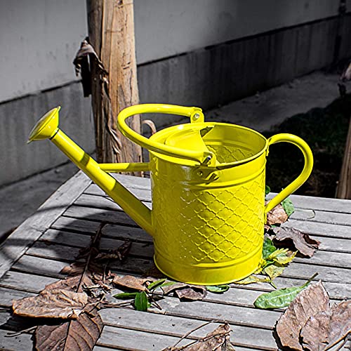 HORTICAN 1 Gal Galvanized Steel Watering Can Decorative Farmhouse Style Watering Can, Removable