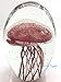 SunRise Hand Blown Glass - Jellyfish Paperweight, Glow in The Dark Glass with Multi-Color Light Base (Coral)